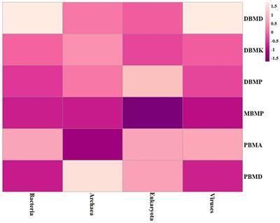 First report on metagenomics and their predictive functional analysis of fermented bamboo shoot food of Tripura, North East India